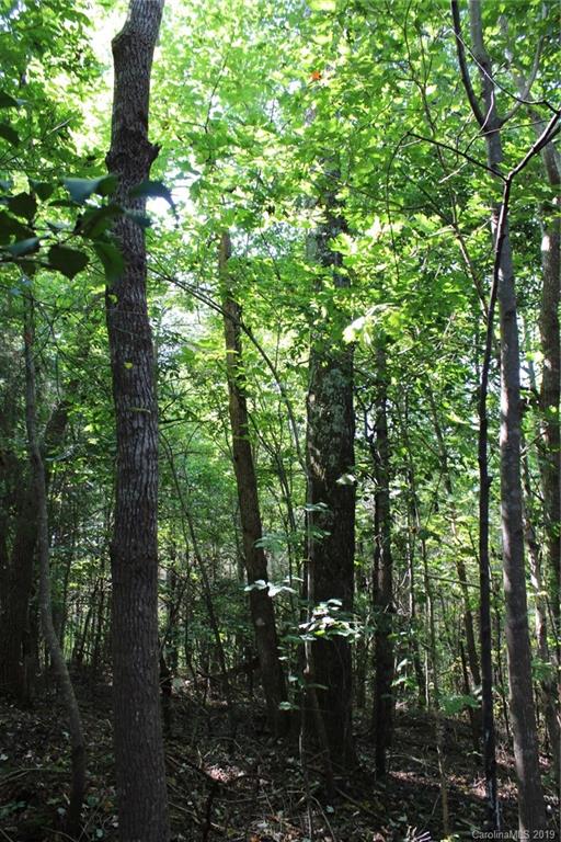 7.27-ac Coolbrook Road Union Grove, NC 28689 - Photo 45 of 48