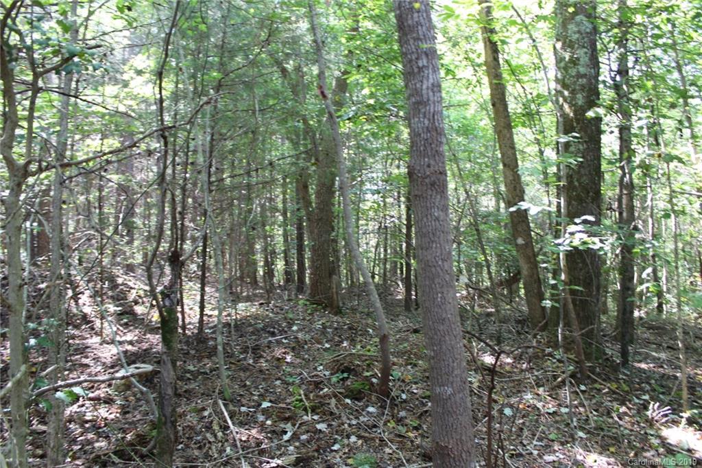 7.27-ac Coolbrook Road Union Grove, NC 28689 - Photo 46 of 48