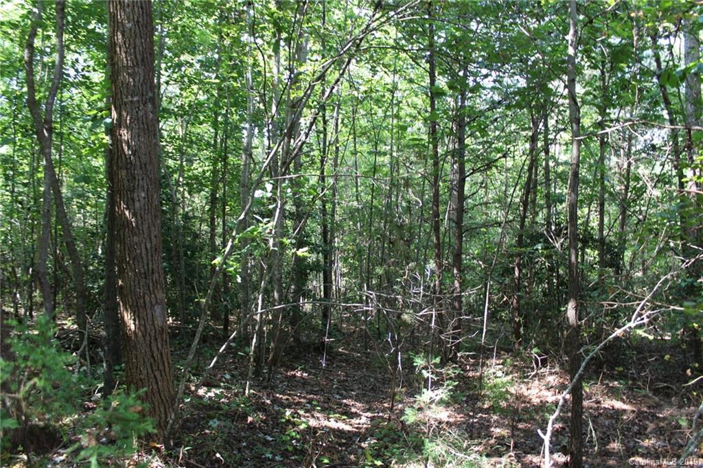 7.27-ac Coolbrook Road Union Grove, NC 28689 - Photo 47 of 48