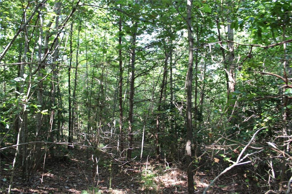 7.27-ac Coolbrook Road Union Grove, NC 28689 - Photo 48 of 48