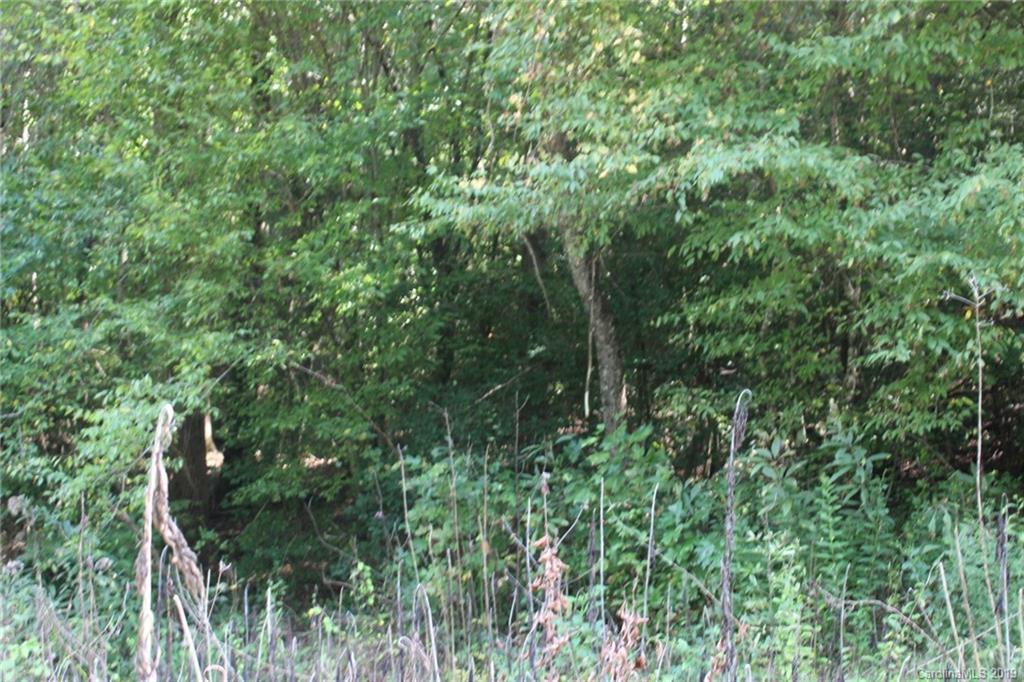 7.27-ac Coolbrook Road Union Grove, NC 28689 - Photo 6 of 48