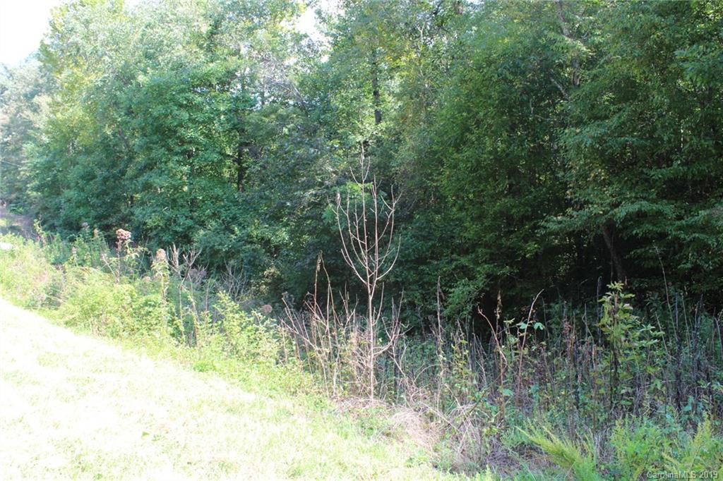 7.27-ac Coolbrook Road Union Grove, NC 28689 - Photo 7 of 48