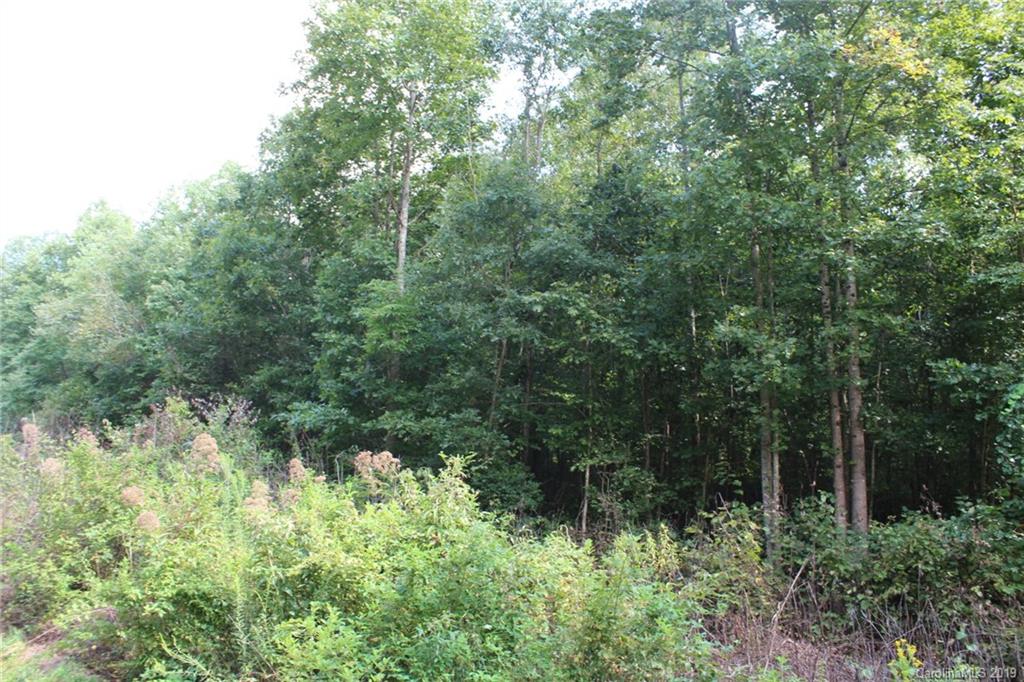 7.27-ac Coolbrook Road Union Grove, NC 28689 - Photo 8 of 48
