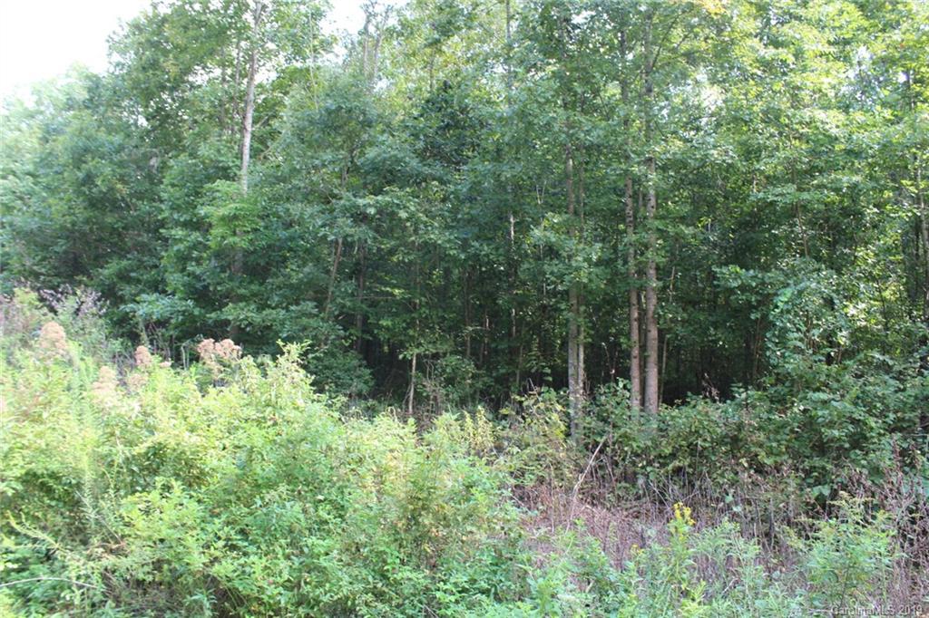 7.27-ac Coolbrook Road Union Grove, NC 28689 - Photo 9 of 48