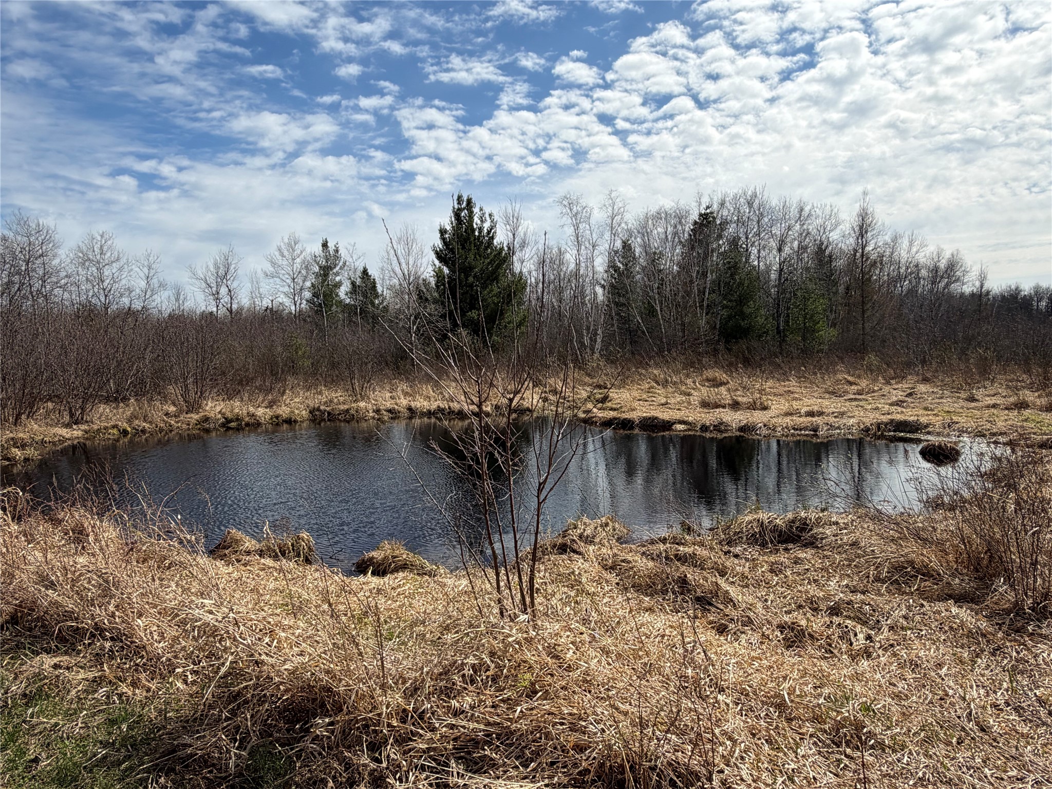 N4280 County Road East Bruce, WI 54819 - Photo 29 of 49
