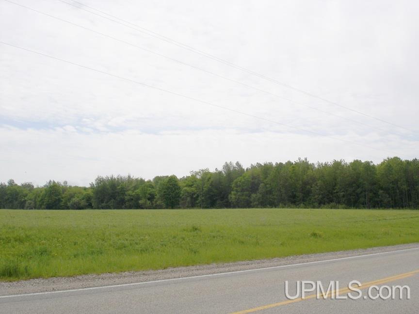 Tbd Co Rd 437 Cooks, MI 49817 - Photo 4 of 7