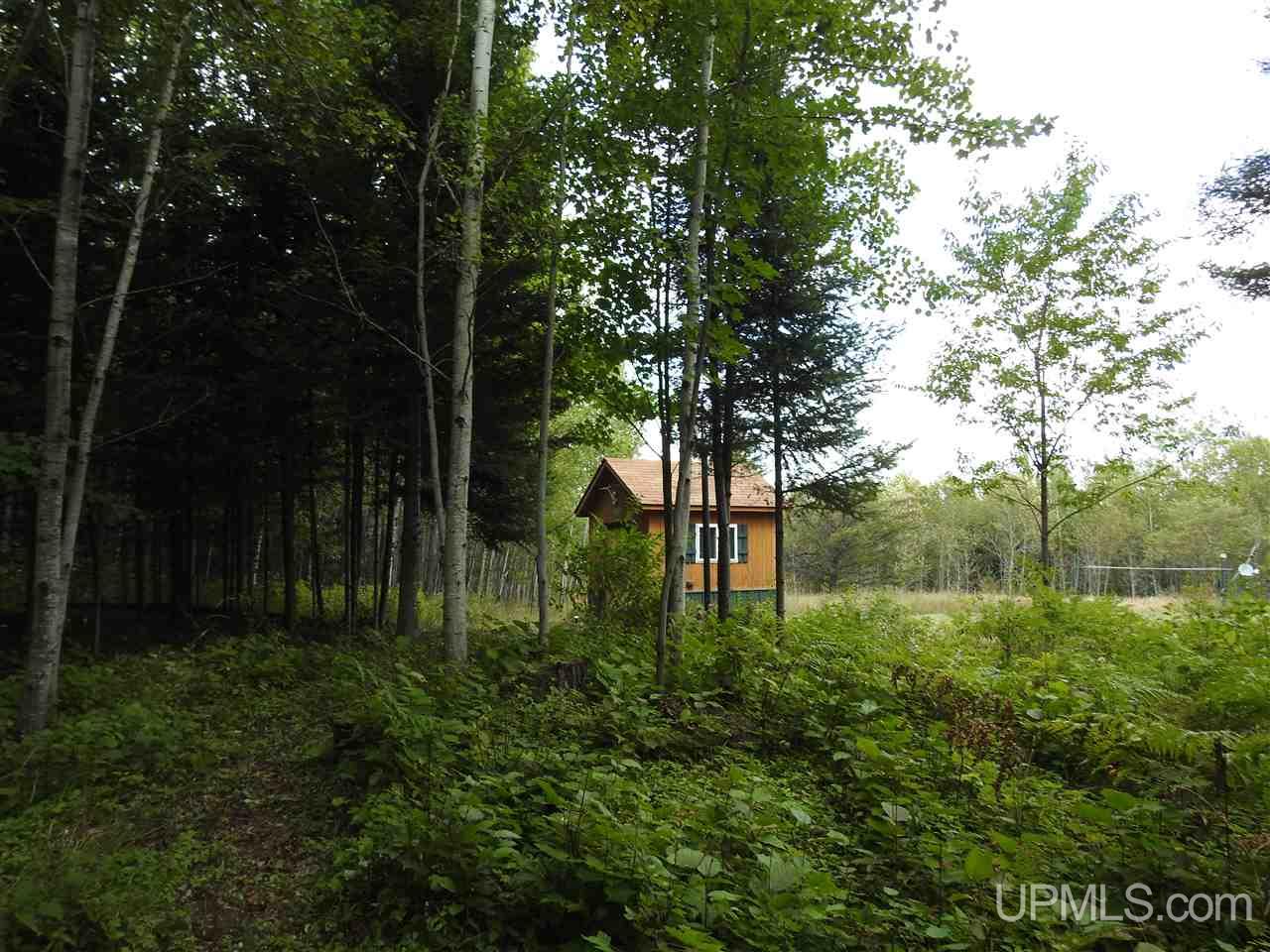 N7908 Coppo Road Felch, MI 49831 - Photo 25 of 28 Gallery Image 25