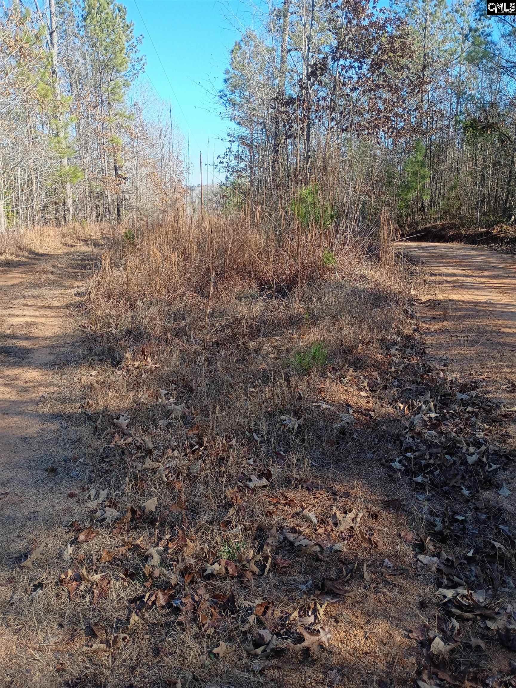 1164 Calvins Road Camden, SC 29020 - Photo 2 of 6
