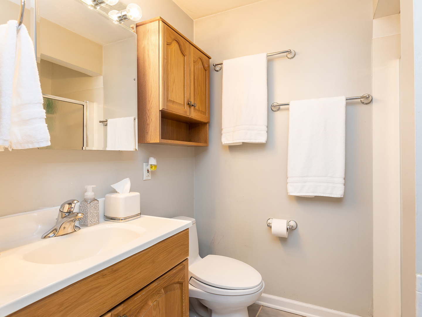S264 Church Street Winfield, IL 60190 - Photo 14 of 17
