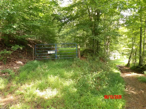 $1,100,000 | 941 Sammy Road, Walkersville, WV 26447