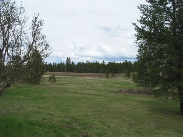 37505 North Valley Road Elk, WA 99009 - Photo 4 of 19