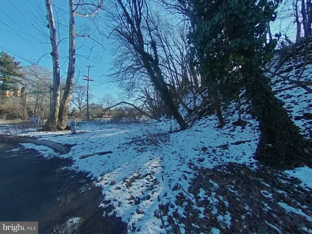 a view of dirt yard with a large tree