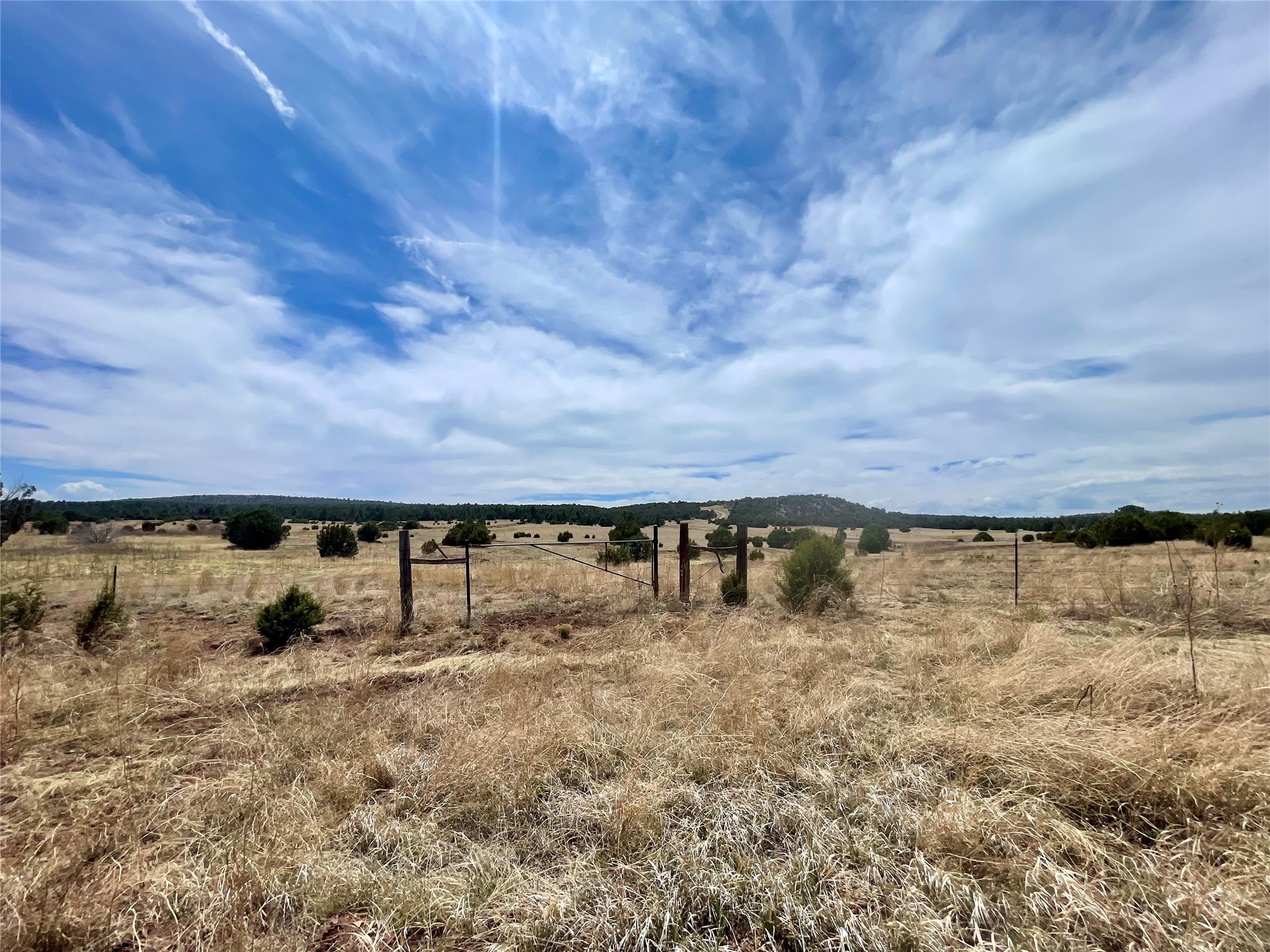 331 Mirasol Road Las Vegas, NM 87701 - Photo 13 of 14