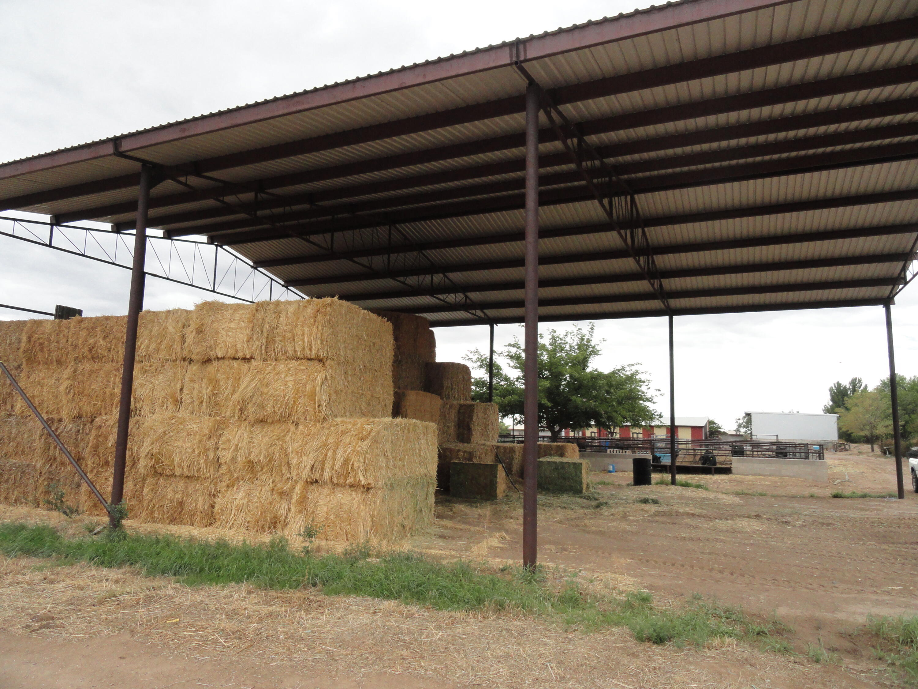 Carrasco Farm Lane Road Polvadera, NM 87828 - Photo 23 of 48 Gallery Image 23