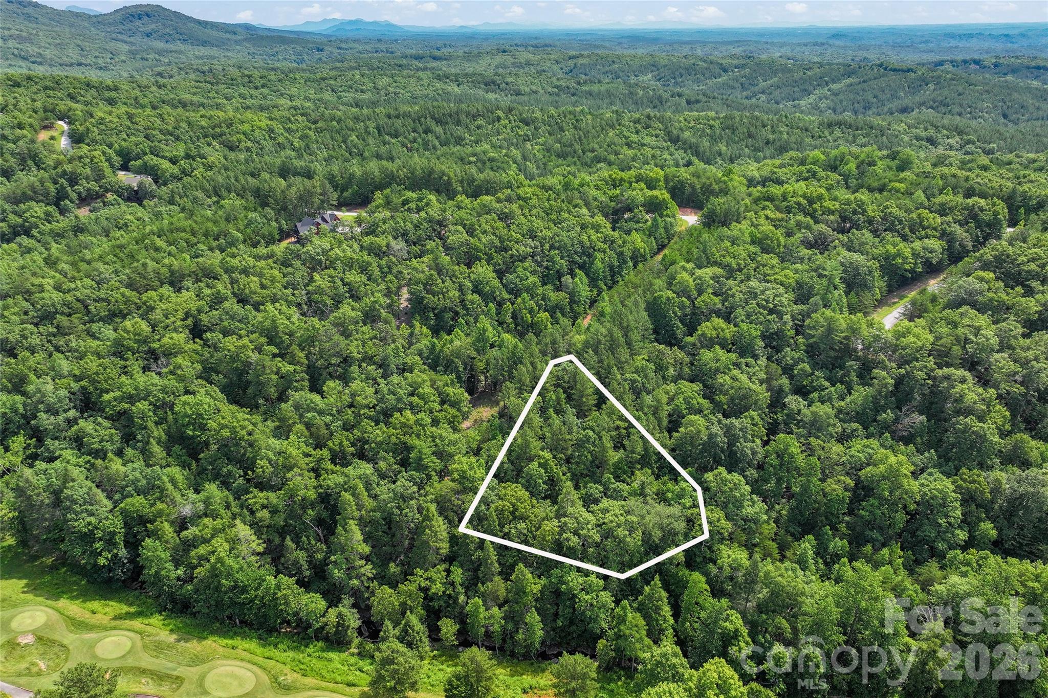 Lot 24 Monteith Pl Mill Spring Mill Spring, NC 28756 - Photo 3 of 24