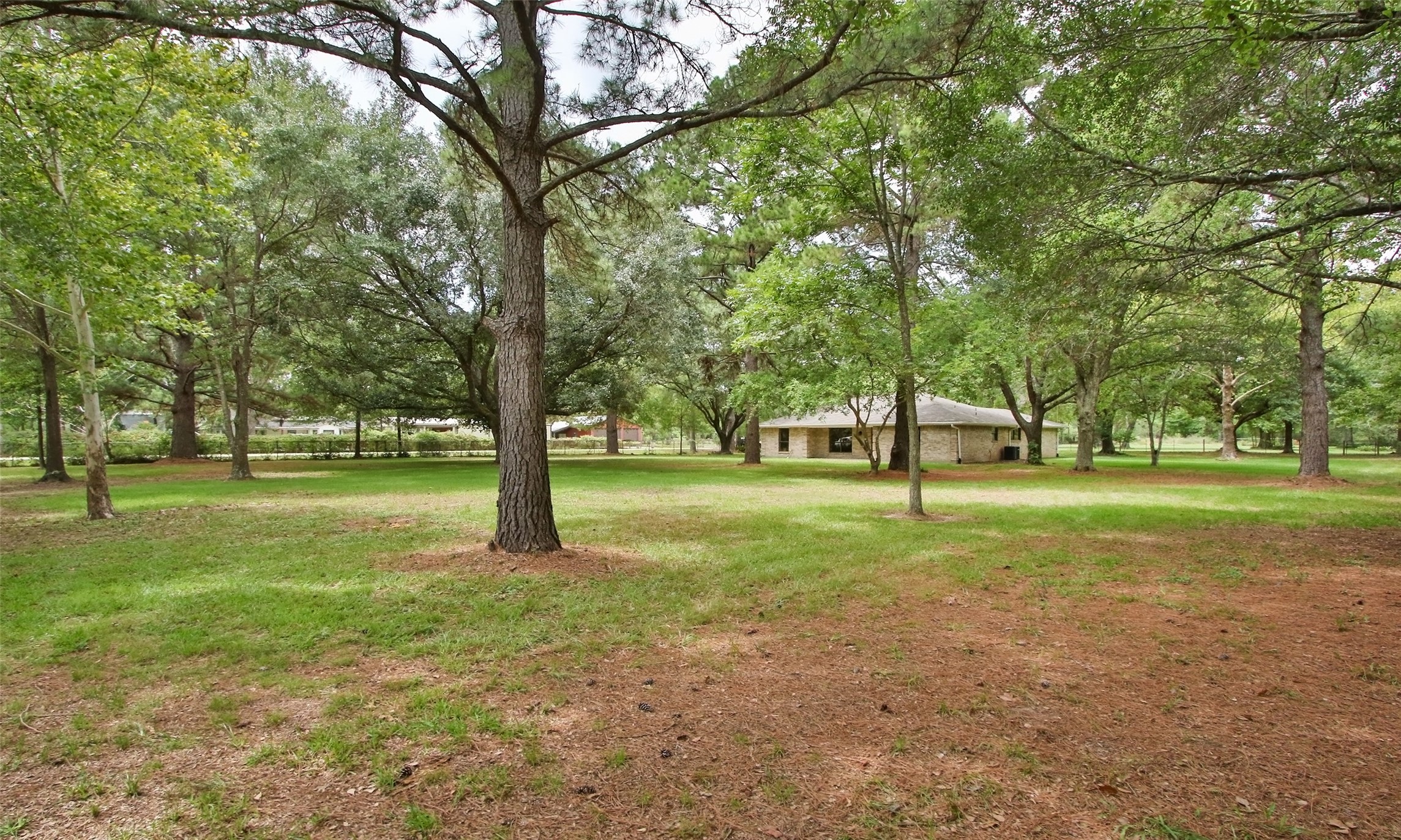 17406 Bobcat Trail Cypress, TX 77429 - Photo 25 of 28 a view of trees in a yard