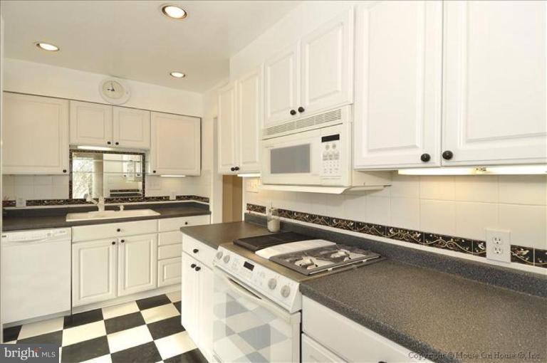 512 Harding Drive Silver Spring, MD 20901 - Photo 22 of 28 a kitchen with a sink stove and cabinets