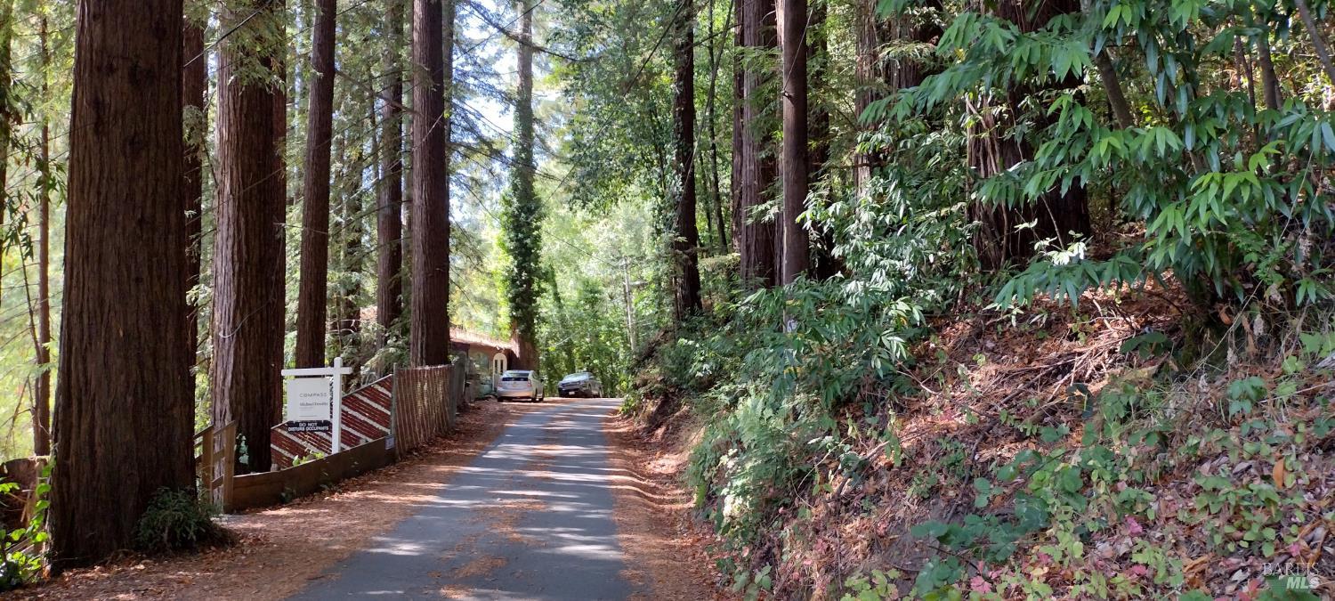 18355 Neeley Road Guerneville, CA 95446 - Photo 11 of 17 a view of outdoor space and yard
