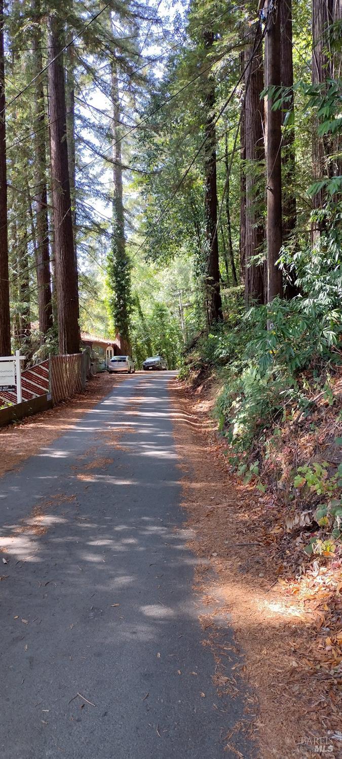 18355 Neeley Road Guerneville, CA 95446 - Photo 3 of 17 a view of a house with a street
