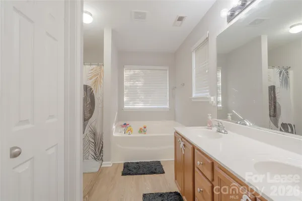 a bathroom with a sink a mirror and a bathtub