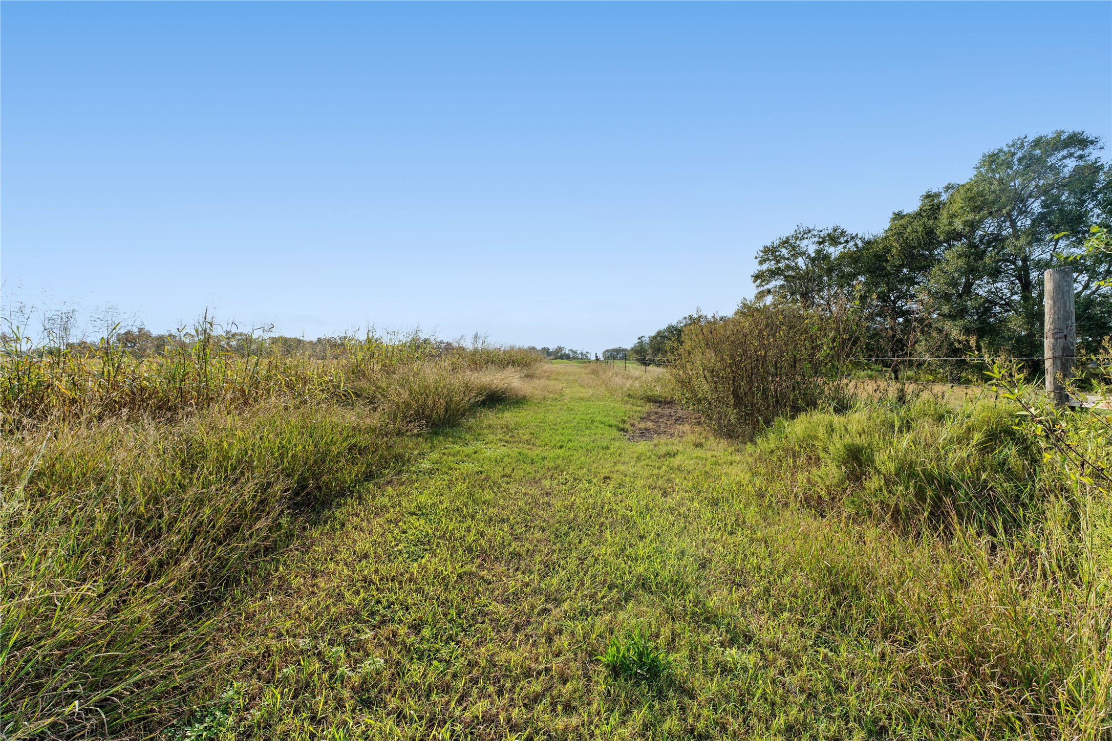 5621 Boothline Road Richmond, TX 77469 - Photo 24 of 26 a view of a city with lush green forest