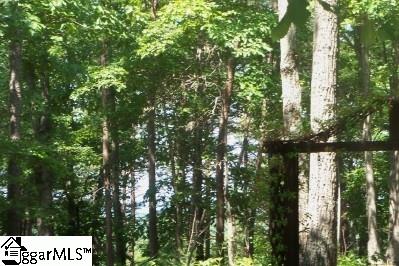 260 Mcgee Road Salem, SC 29676 - Photo 2 of 3 Gallery Image 2