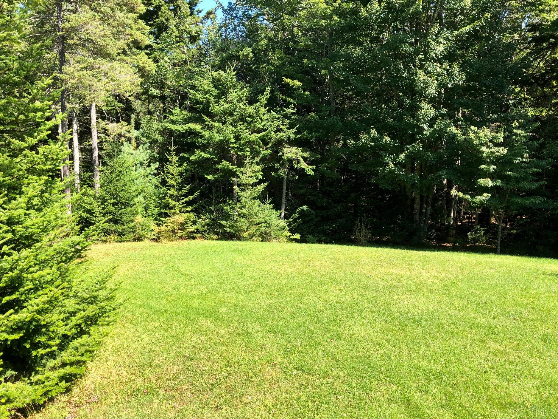 130 Bass Harbor Woods Road Bass Harbor, ME 04653 - Photo 35 of 41 Back yard - next to ANP!