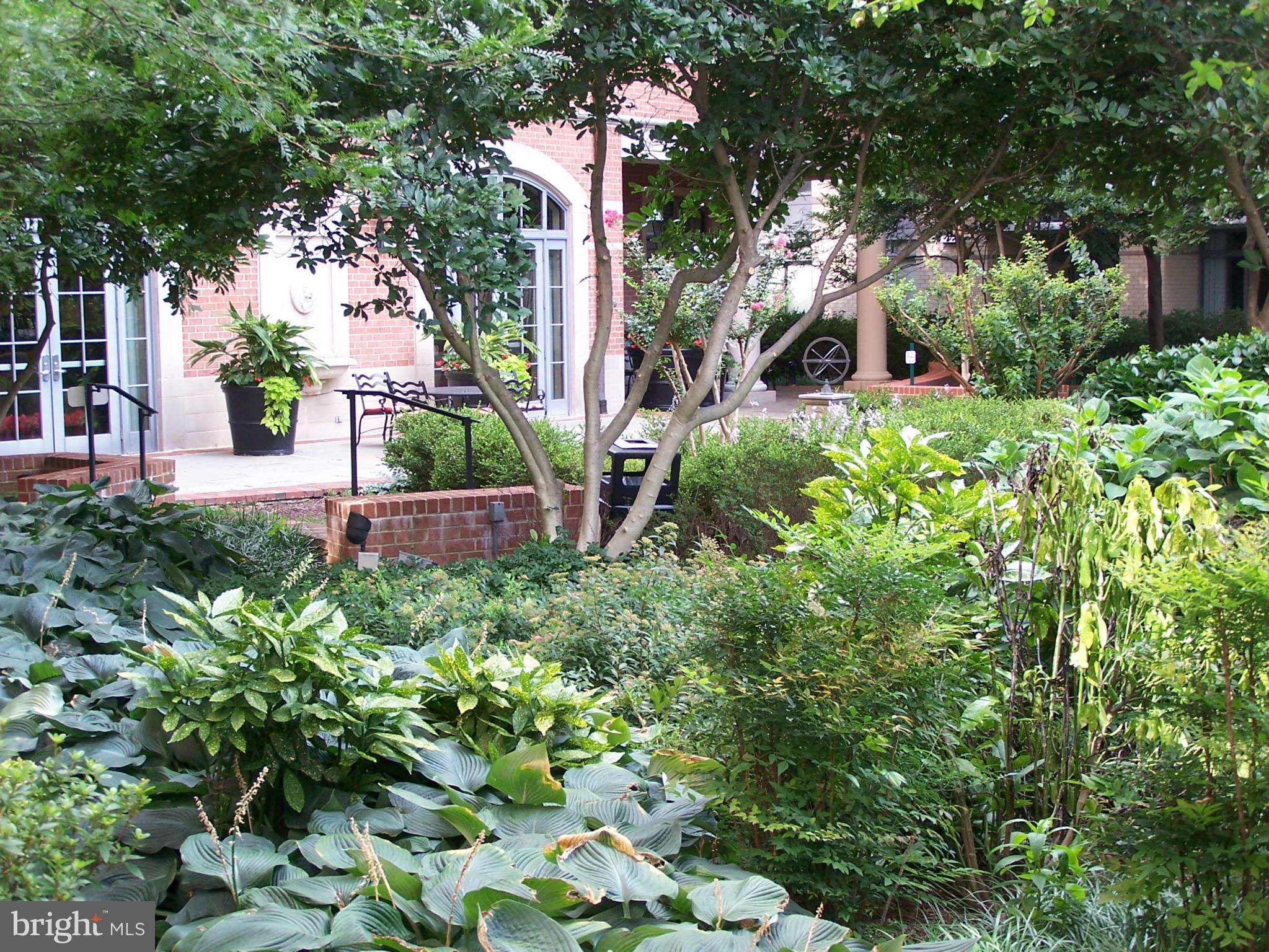 11710 Old Georgetown Road, Unit 725 North Bethesda, MD 20852 - Photo 23 of 29 Exterior (Rear)