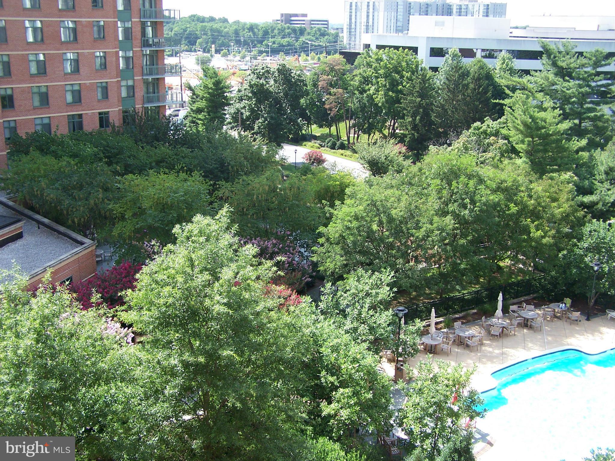 11710 Old Georgetown Road, Unit 725 North Bethesda, MD 20852 - Photo 4 of 29 View