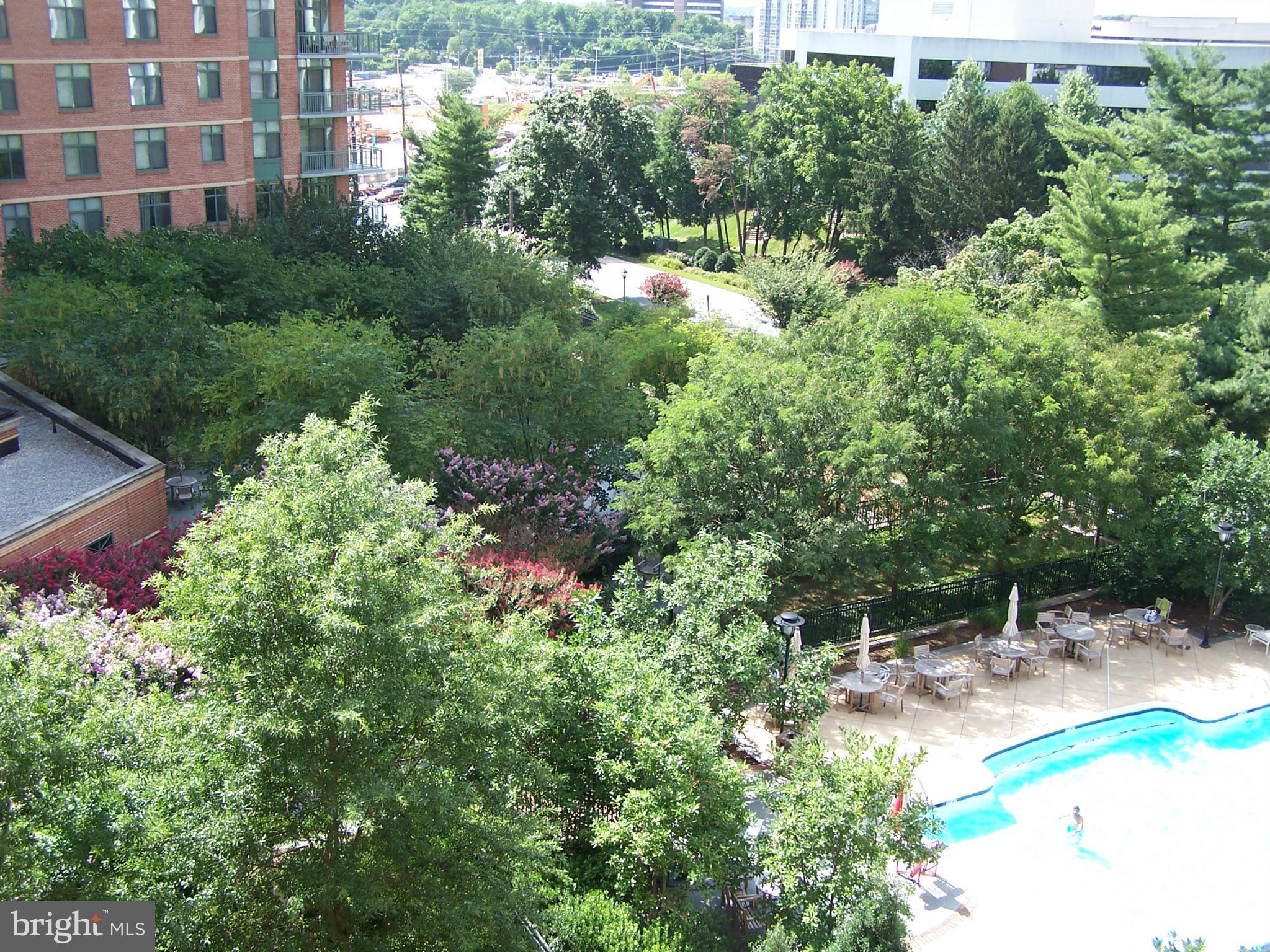 11710 Old Georgetown Road, Unit 725 North Bethesda, MD 20852 - Photo 6 of 29 View