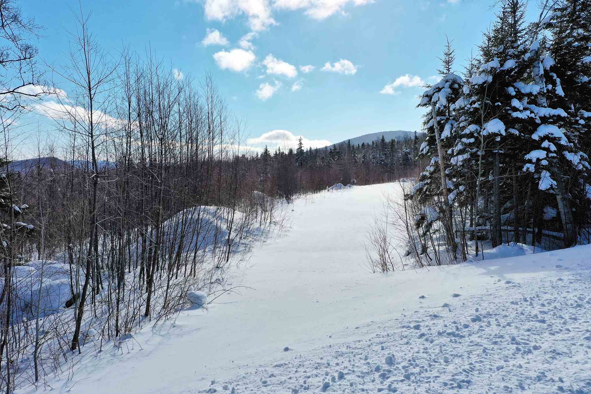 Valley View Drive, Unit 8 Andover, VT 05143 - Photo 17 of 21