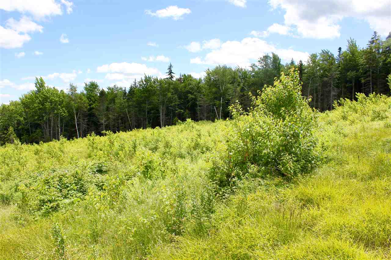 Valley View Drive, Unit 8 Andover, VT 05143 - Photo 10 of 21