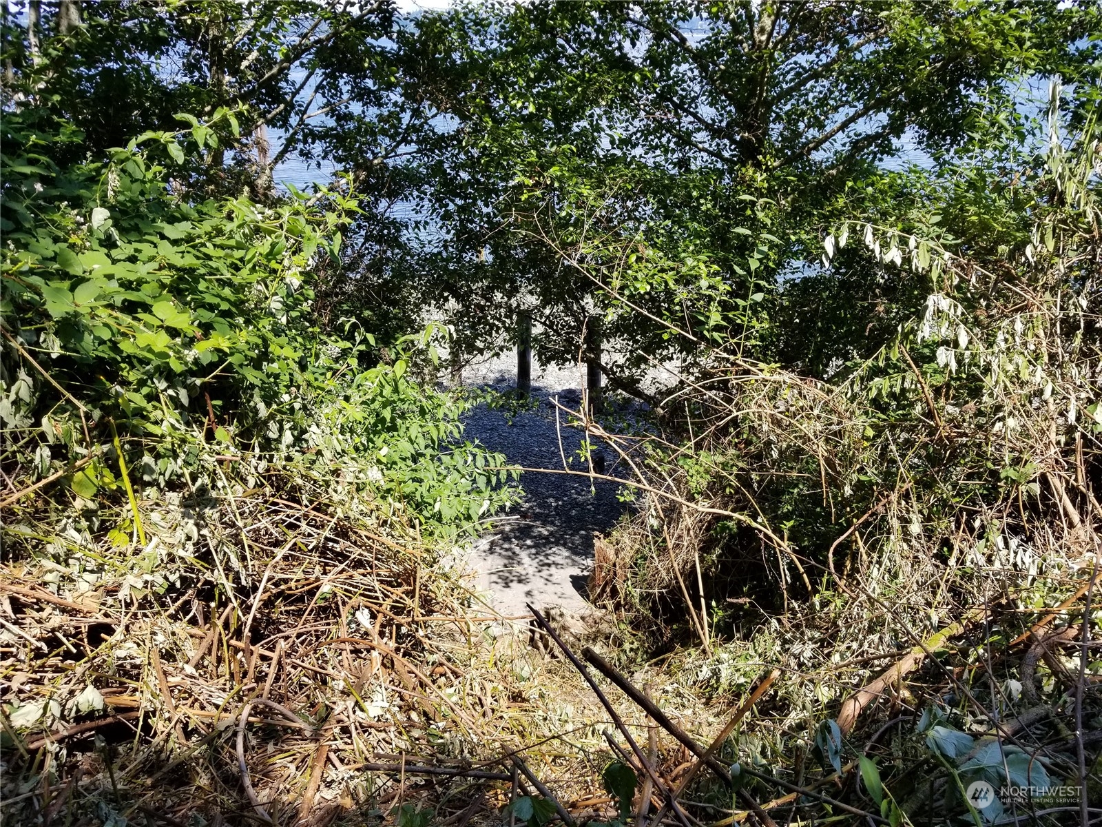 0 Cunliffe Road Southwest Vashon, WA 98070 - Photo 11 of 11 a backyard of a house with lots of plants and tree