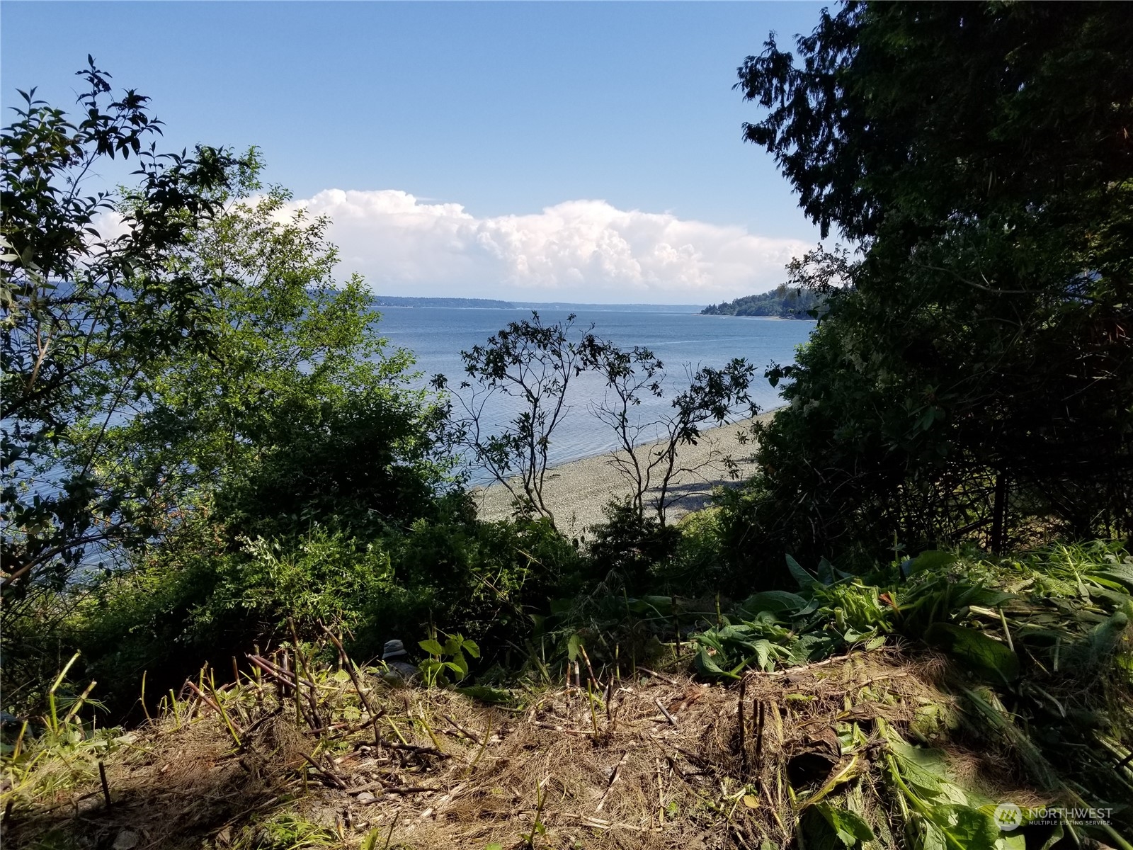 0 Cunliffe Road Southwest Vashon, WA 98070 - Photo 3 of 11 a view of a yard and mountain