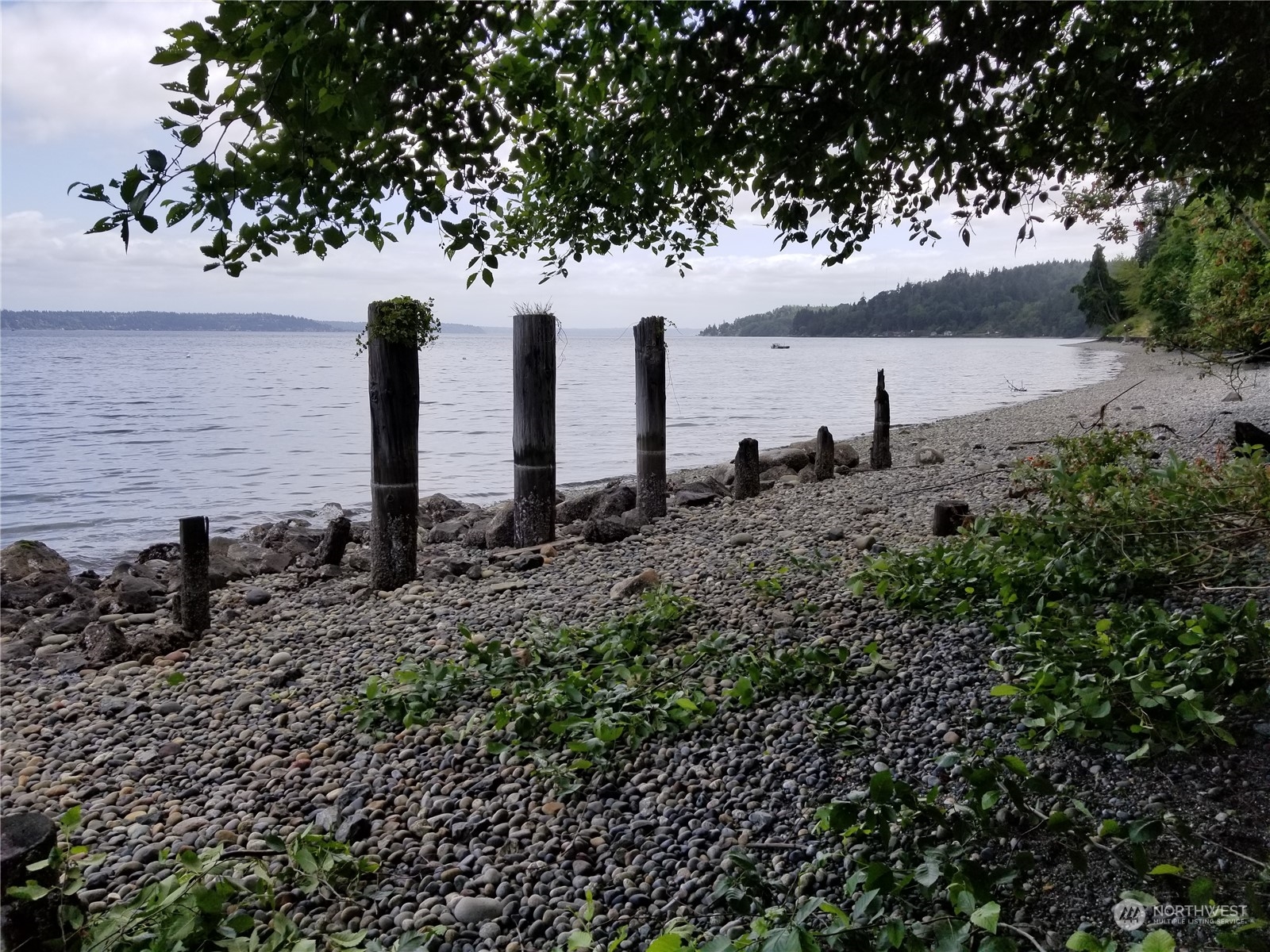 0 Cunliffe Road Southwest Vashon, WA 98070 - Photo 4 of 11 a view of a garden