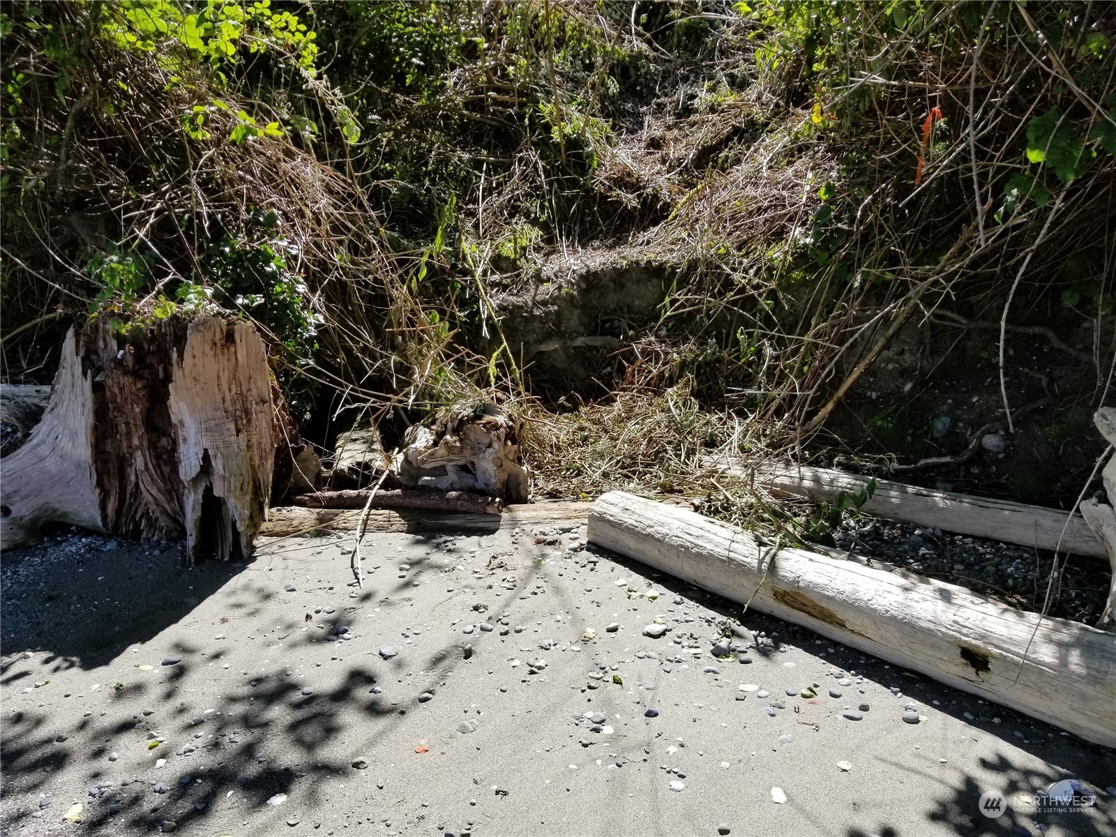 0 Cunliffe Road Southwest Vashon, WA 98070 - Photo 6 of 11 a view of a backyard of the house