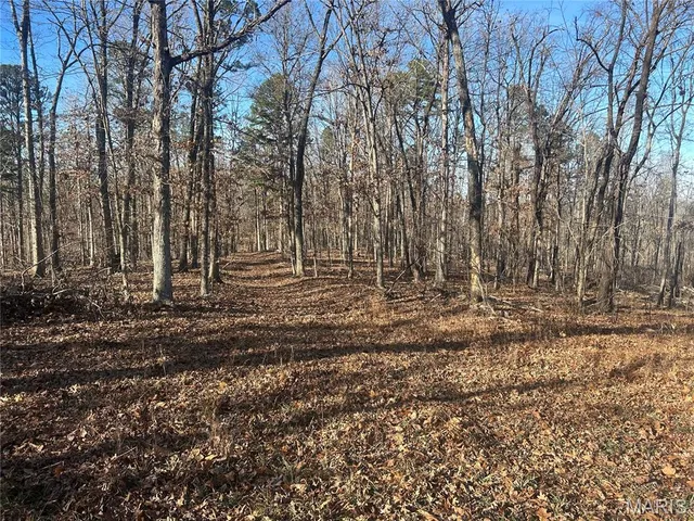 $74,000 | 304 Madison Cr, Fredericktown, MO 63645