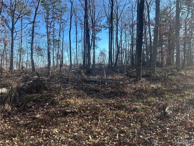 $74,000 | 304 Madison Cr, Fredericktown, MO 63645