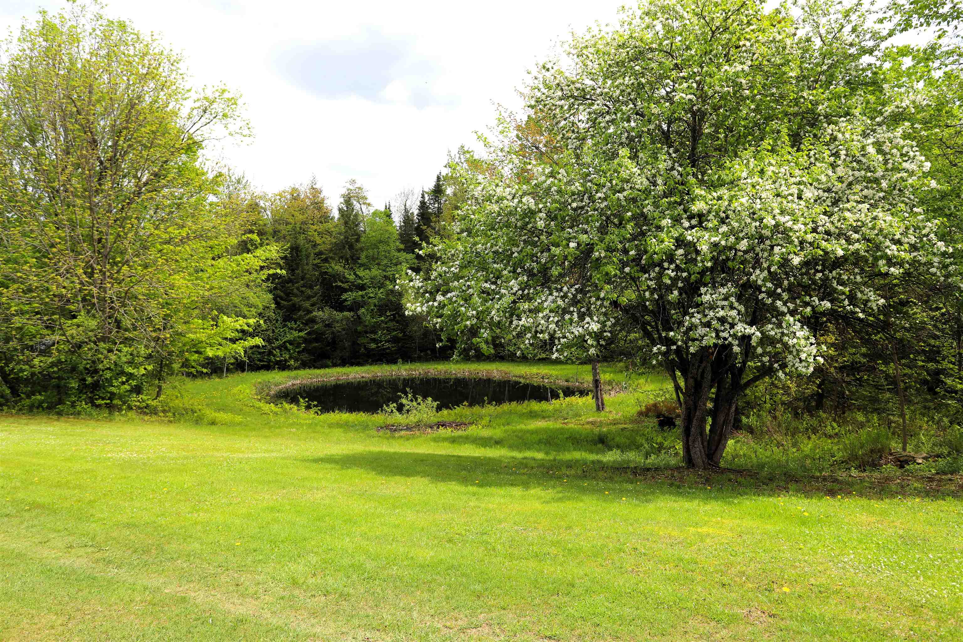2013 Carter Road Lowell, VT 05847 - Photo 27 of 40