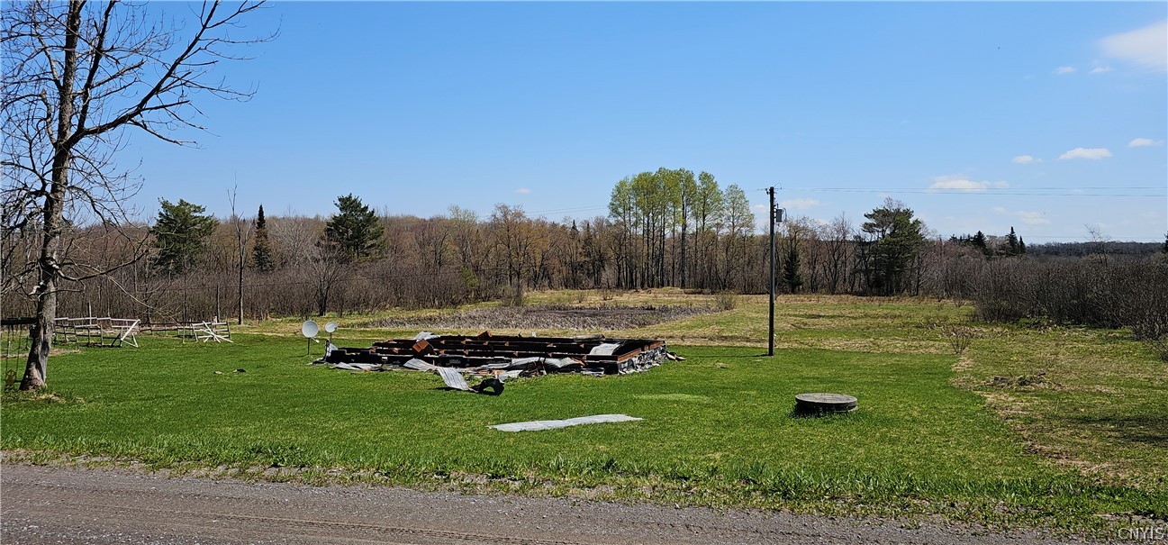 8098 Mc Gowan Road Pinckney, NY 13626 - Photo 6 of 7