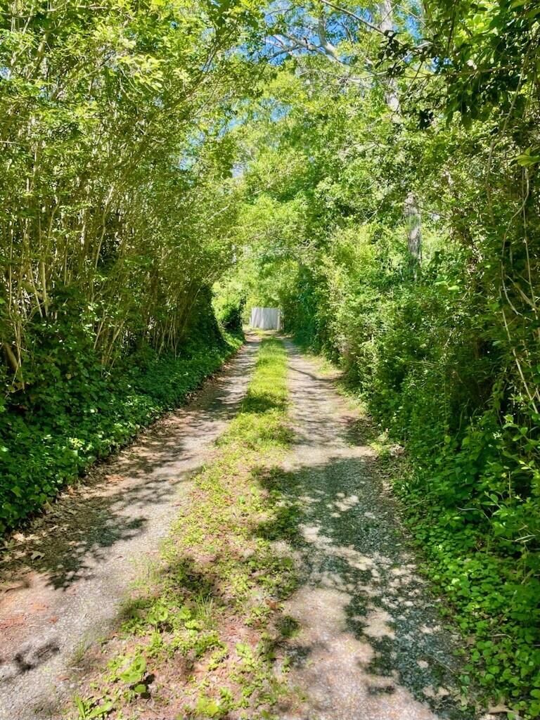 4975 State Highway, Unit A Eastham, MA 02642 - Photo 44 of 44 a view of a yard with a tree