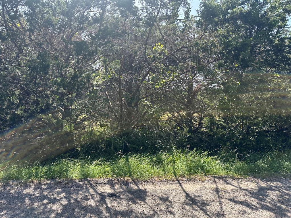 Lot 1 Cedar Road Sherman, TX 75090 - Photo 17 of 20 a picture of trees