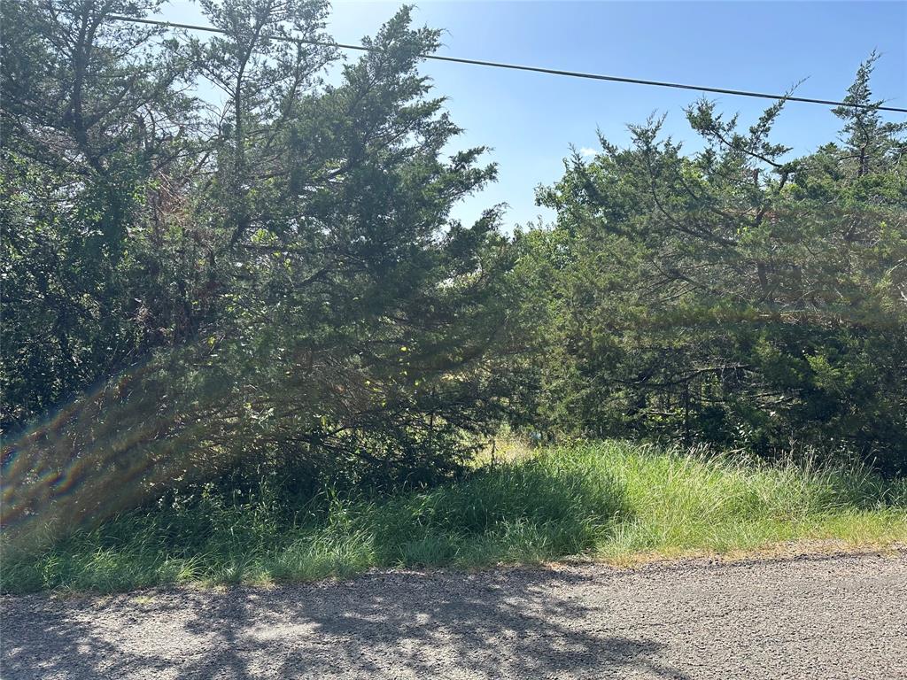 Lot 1 Cedar Road Sherman, TX 75090 - Photo 19 of 20 a backyard of a house with lots of trees