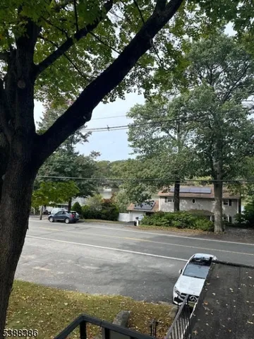 a view of a street with a tree
