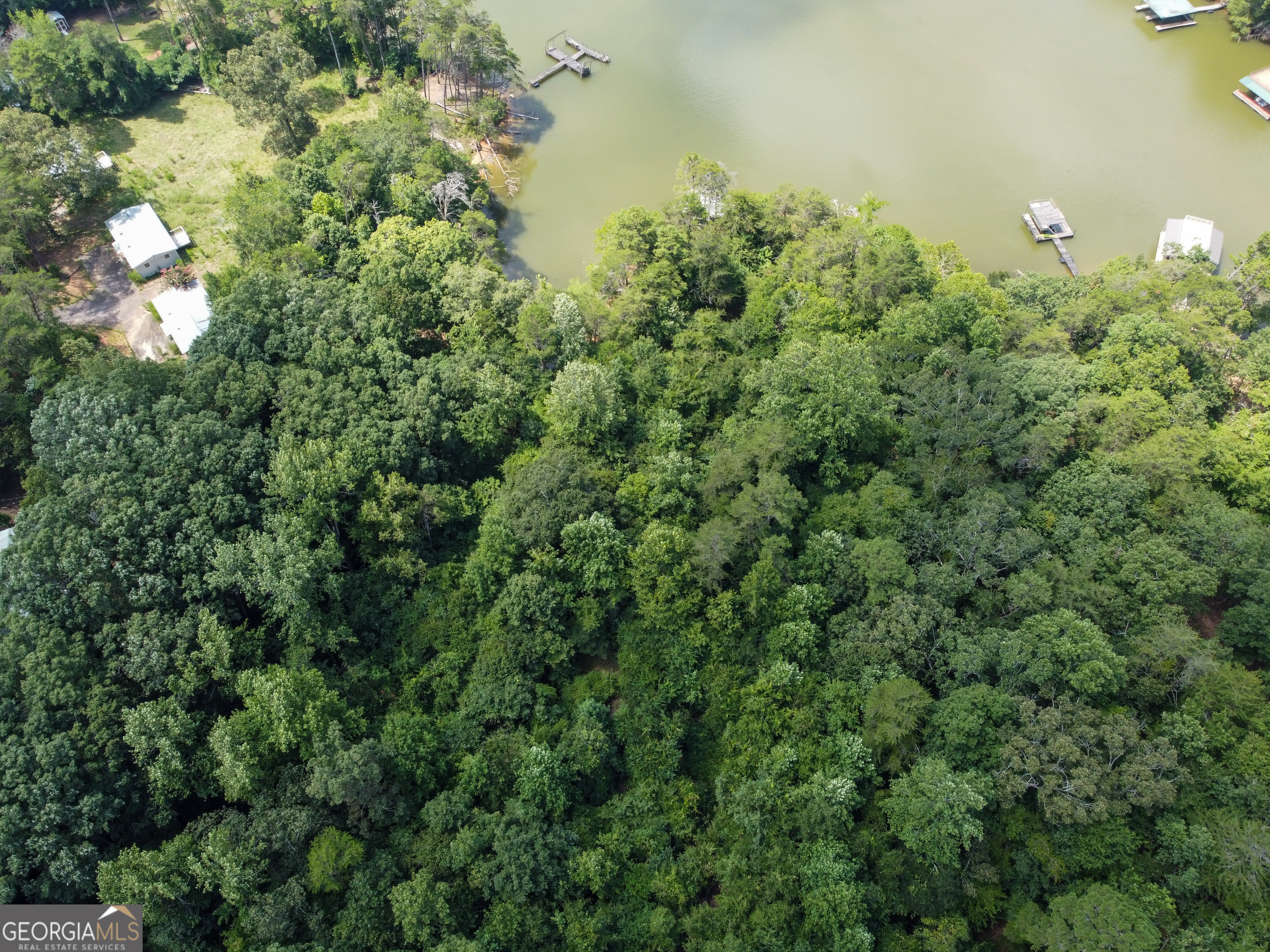 3847 Erwin Drive Gainesville, GA 30506 - Photo 3 of 13 a view of a tree in a field