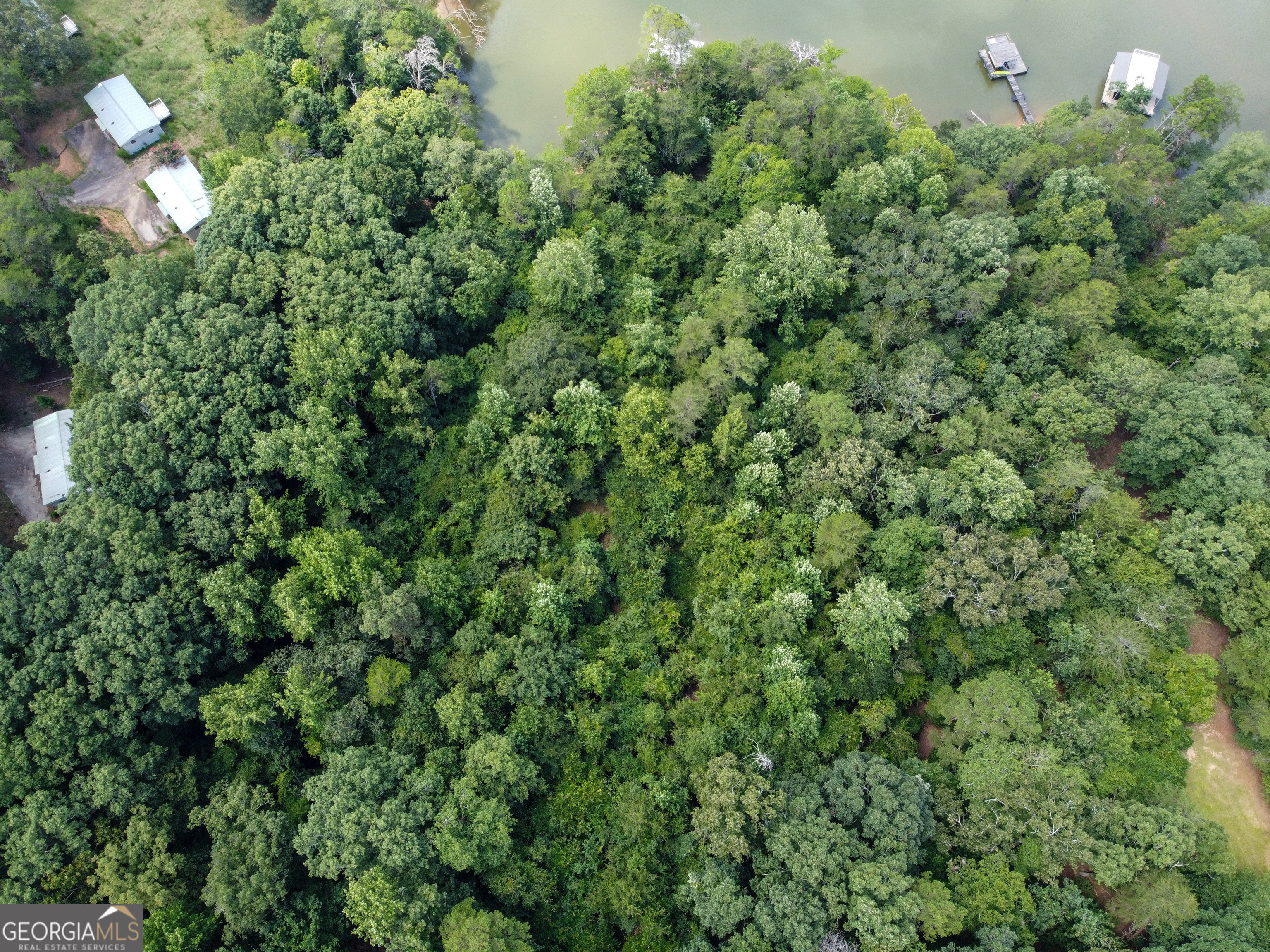 3847 Erwin Drive Gainesville, GA 30506 - Photo 4 of 13 a view of a tree in a yard