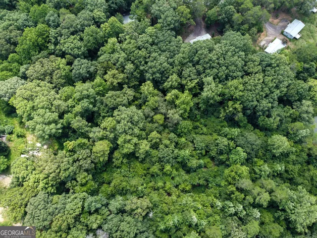 an aerial view of residential house with outdoor space and trees all around