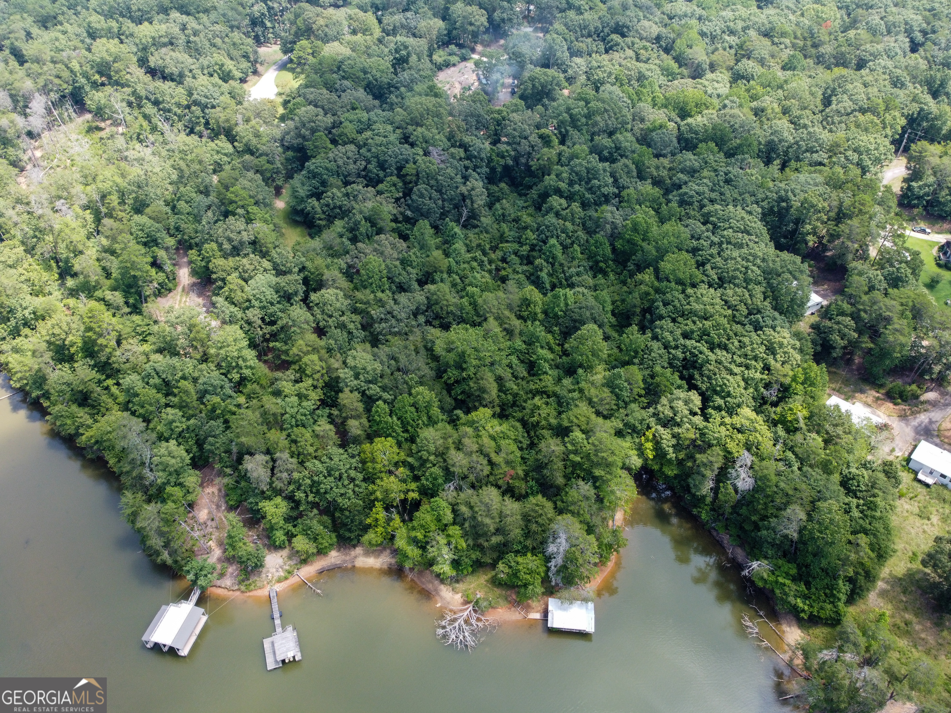 3847 Erwin Drive Gainesville, GA 30506 - Photo 6 of 13 view of a forest with a houses