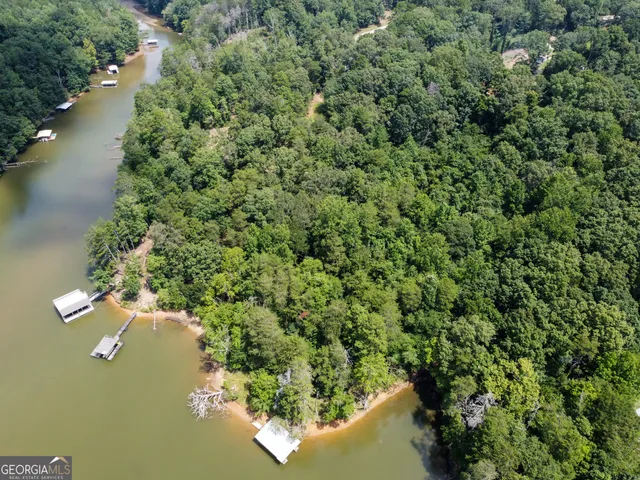 a view of a lake from a yard