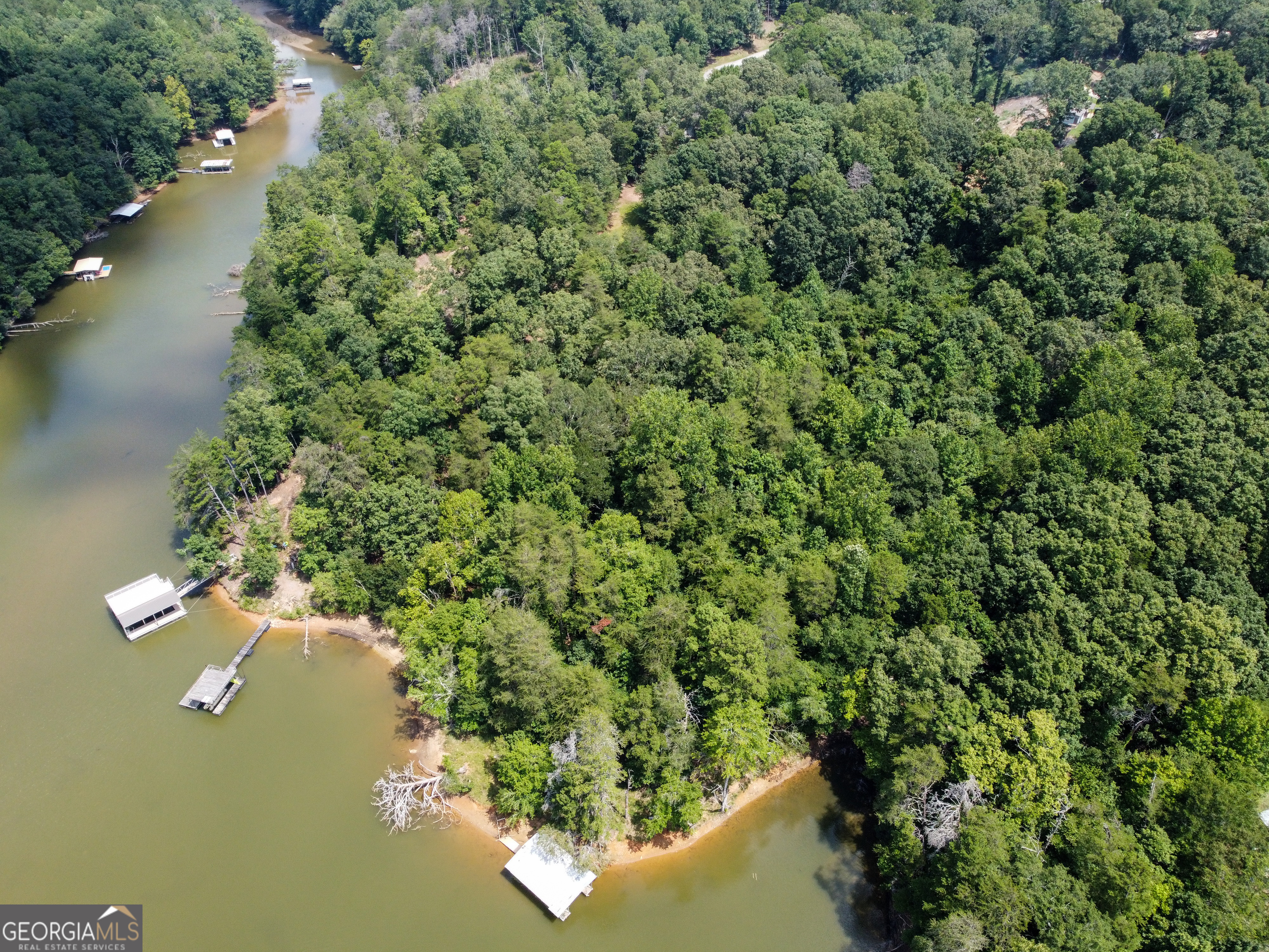 3847 Erwin Drive Gainesville, GA 30506 - Photo 9 of 13 a view of a lake from a yard